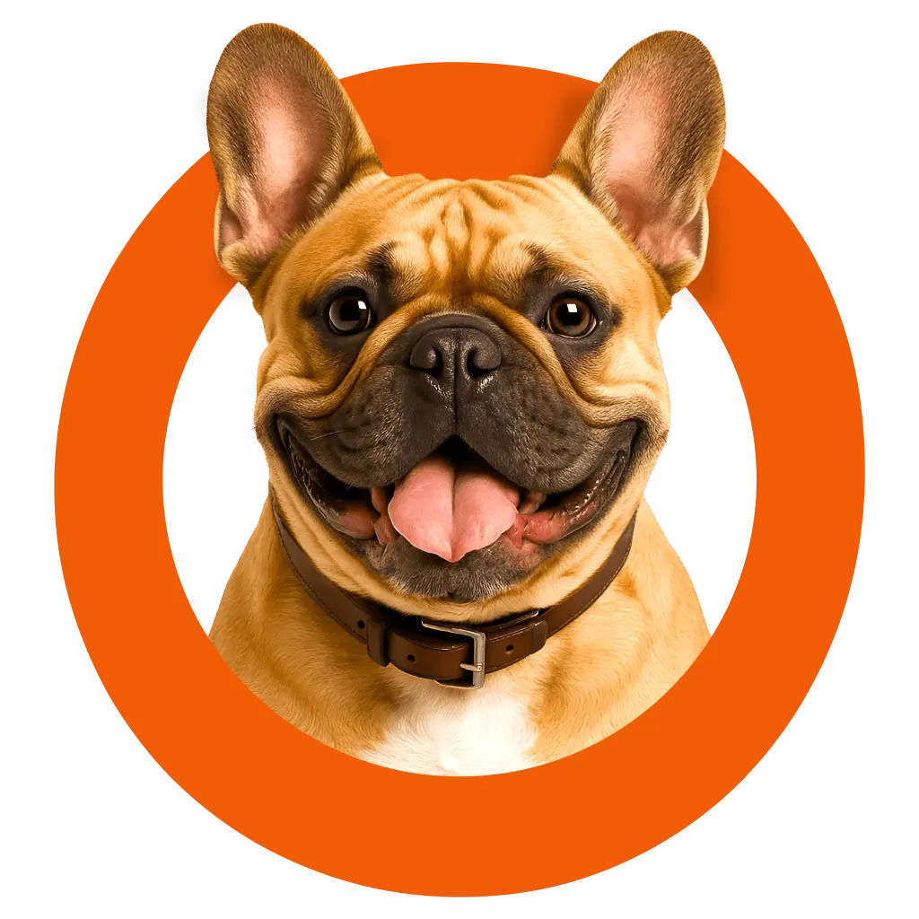Логотип DOGITO — стилизованная улыбающаяся собака