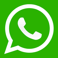 DOGITO в Whatsapp